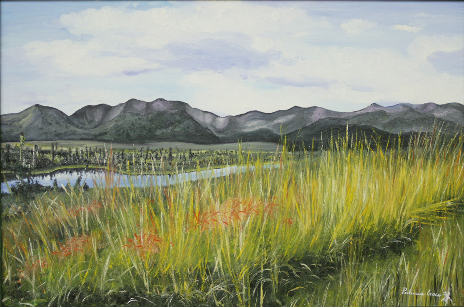 Specchio d'acqua. Patrizia Croce